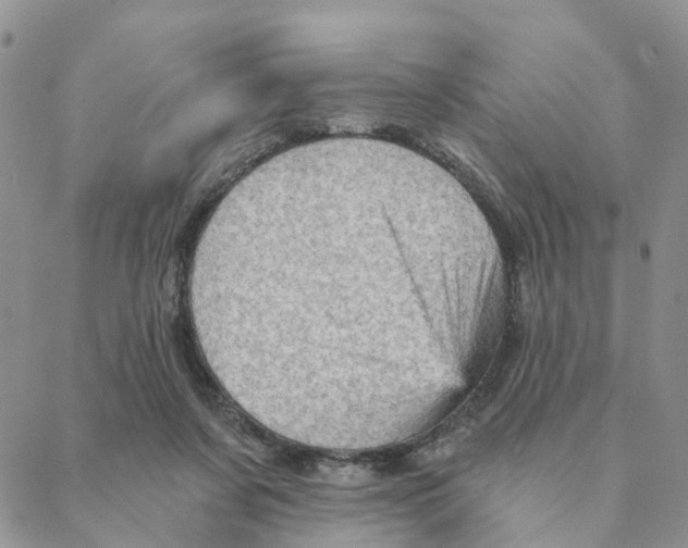 X0000088180311200706121657