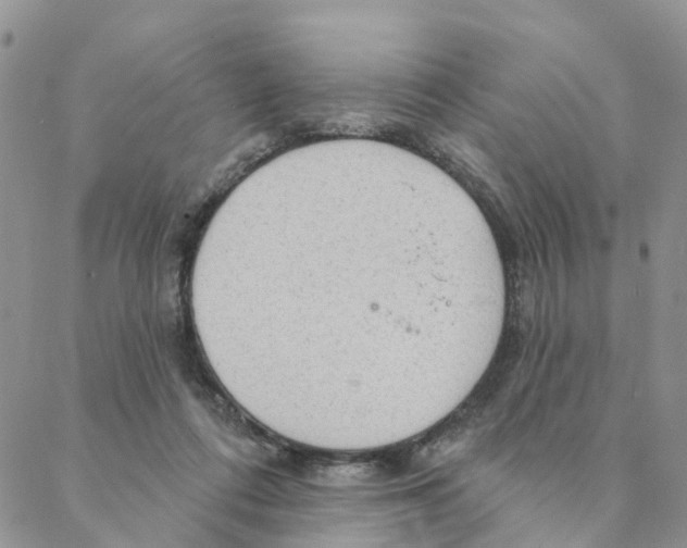 X0000088180312200706121657