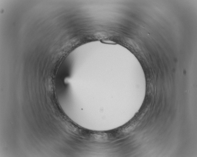 X0000088180317200706121657