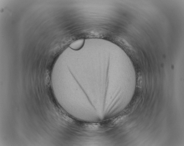 X0000088180318200706121657