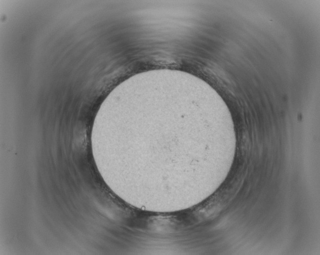 X0000088180320200706121657