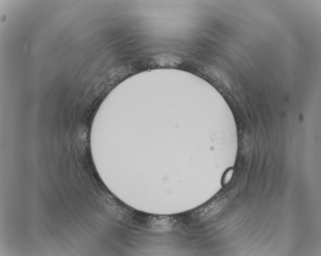 X0000088180321200706121657