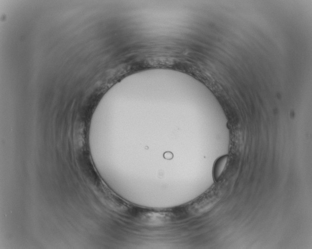 X0000088180323200706121657