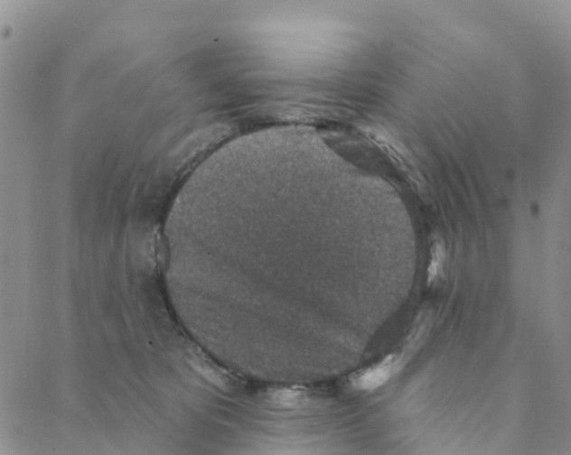 X0000088180325200706121657