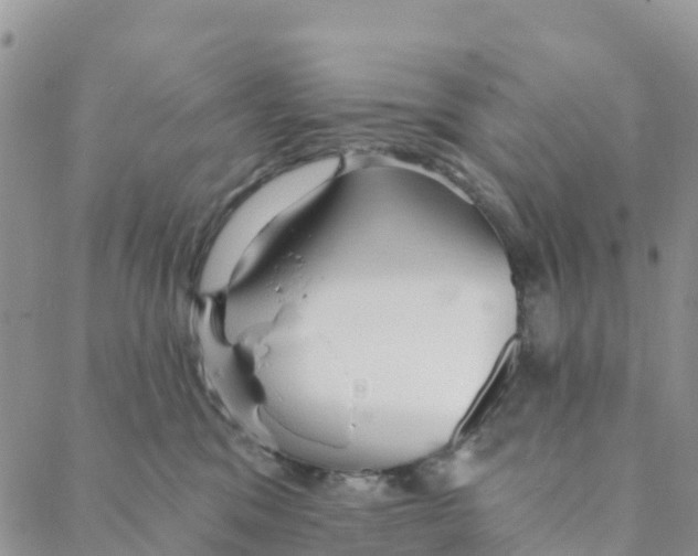 X0000088180329200706121657