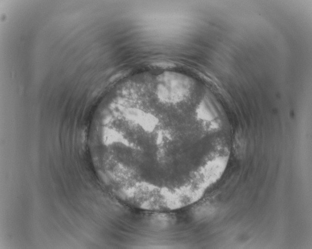 X0000088180330200706121657