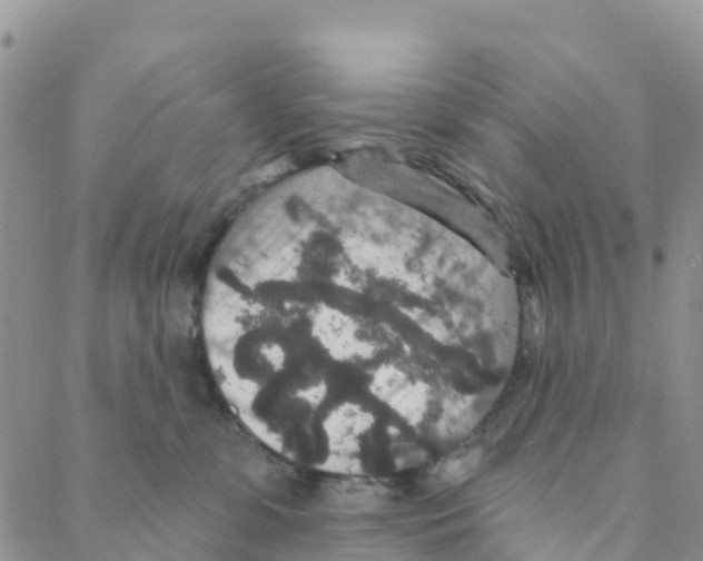 X0000088180331200706121657