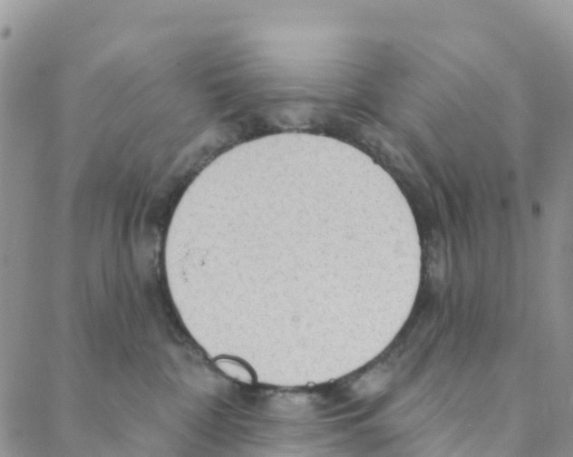 X0000088180332200706121657