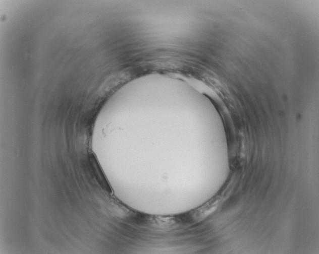 X0000088180333200706121657