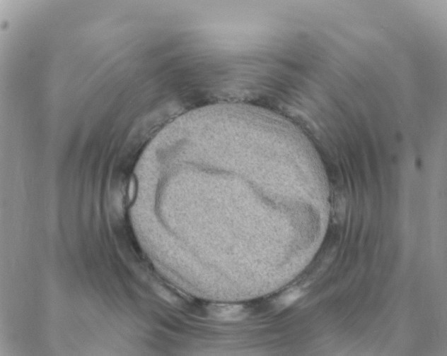 X0000088180334200706121657