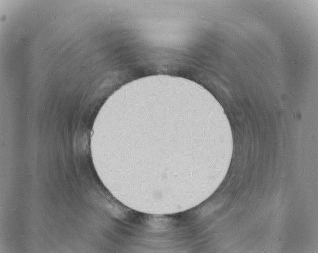 X0000088180336200706121657