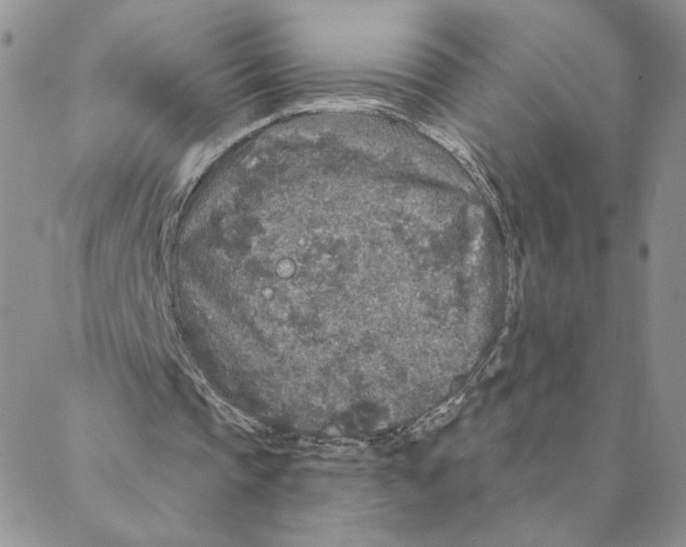 X0000088180337200706121656