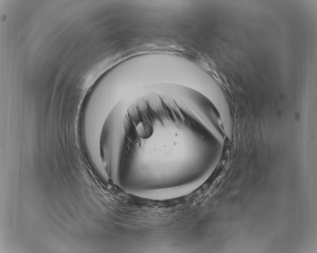 X0000088180340200706121656