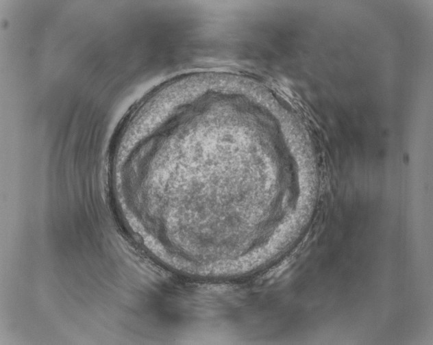 X0000088180342200706121656