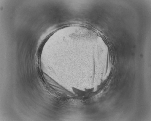 X0000088180343200706121656