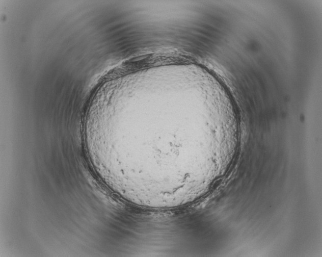 X0000088180345200706121656