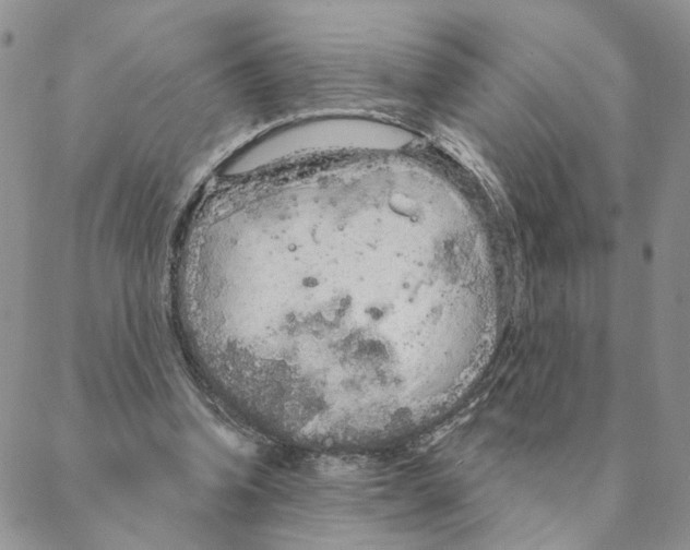 X0000088180346200706121656