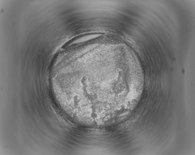 X0000088180347200706121656