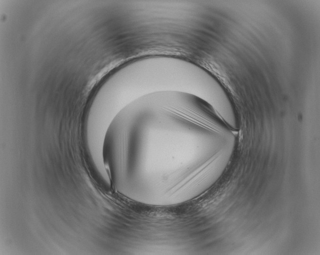 X0000088180348200706121656