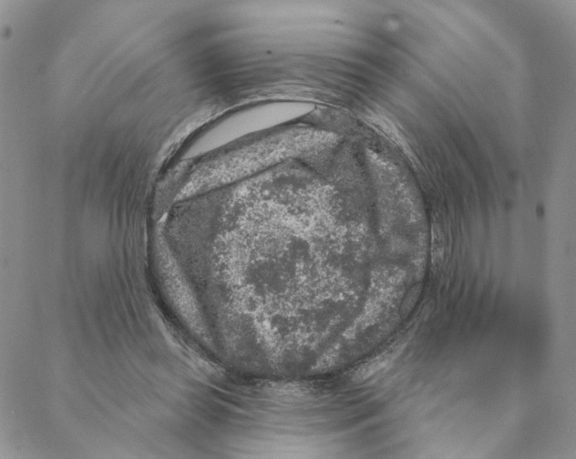 X0000088180349200706121656