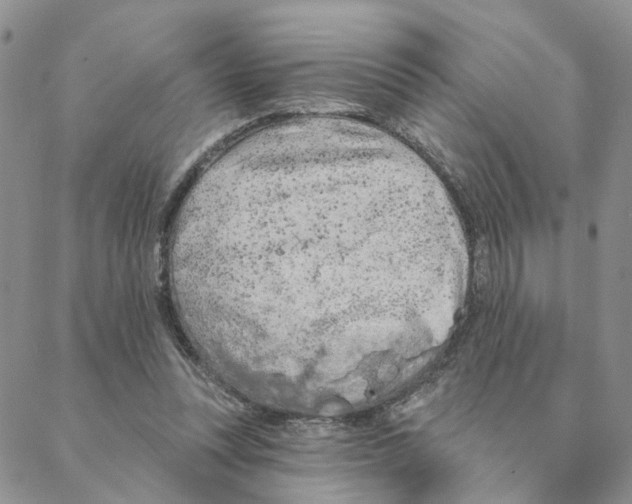 X0000088180351200706121656