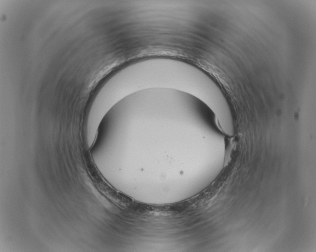 X0000088180352200706121656