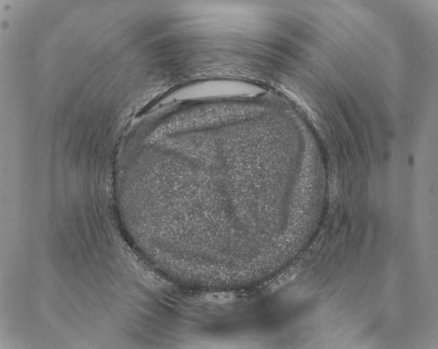 X0000088180353200706121656