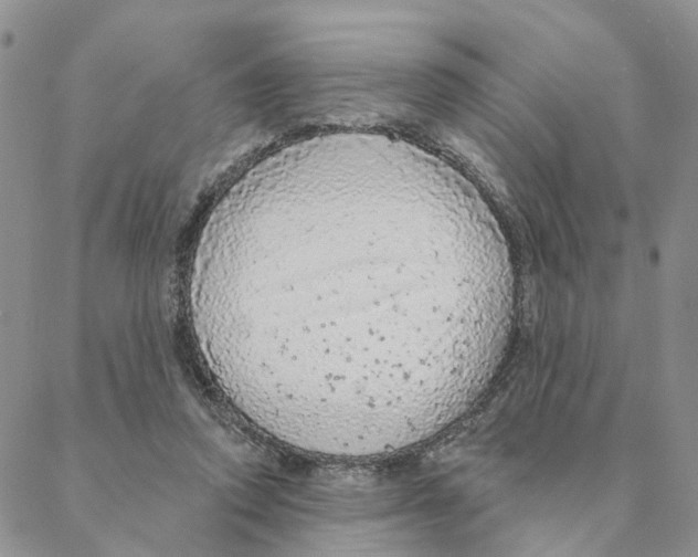 X0000088180354200706121656