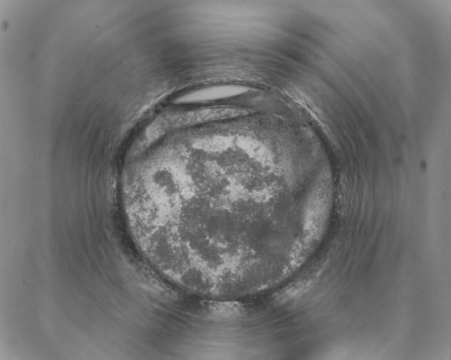 X0000088180355200706121656