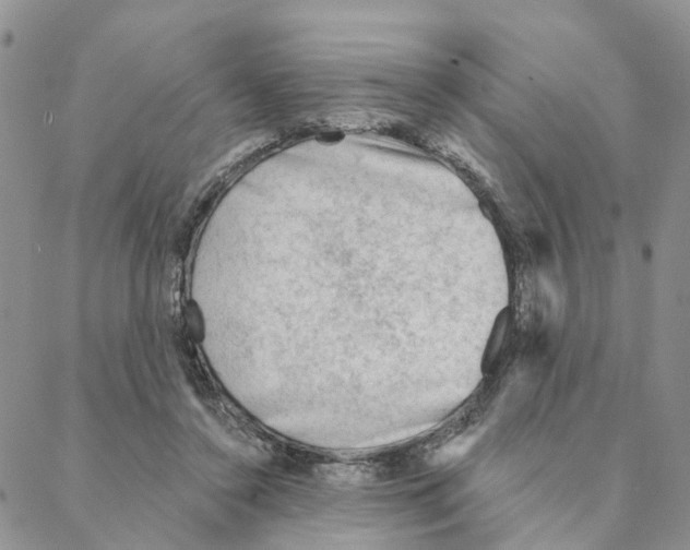 X0000088180356200706121656