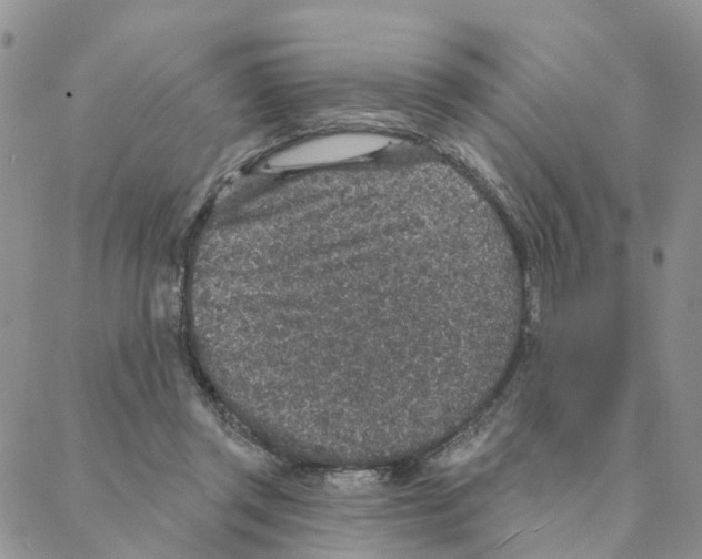 X0000088180357200706121656