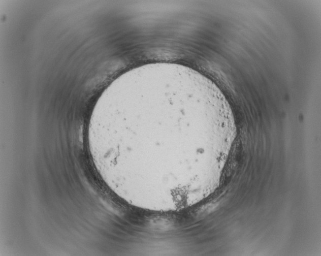 X0000088180358200706121656