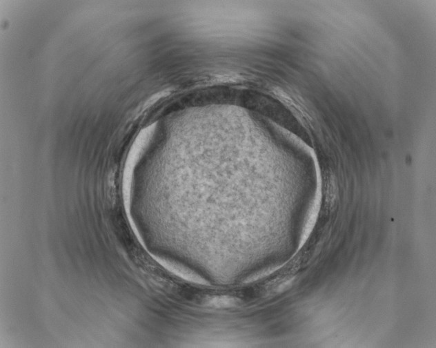 X0000088180360200706121657