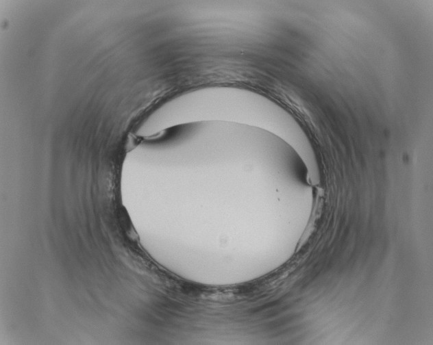 X0000088180362200706121657