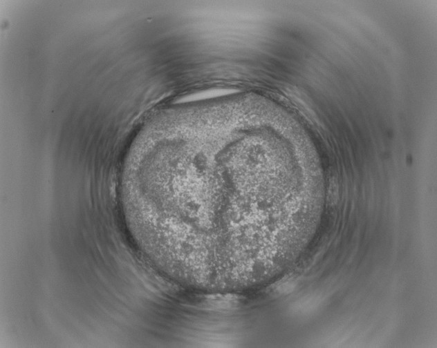 X0000088180363200706121657