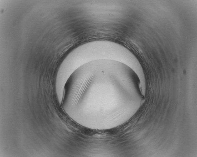 X0000088180364200706121657