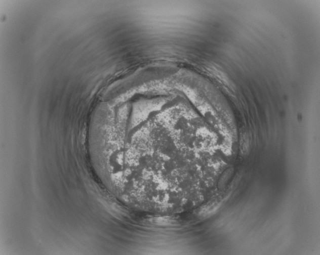 X0000088180365200706121657