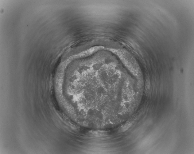 X0000088180367200706121657