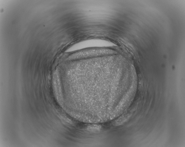 X0000088180369200706121657