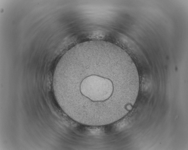 X0000088180370200706121657