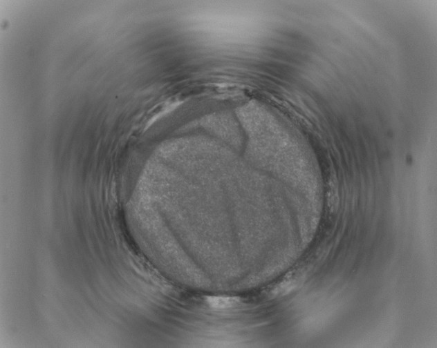 X0000088180371200706121657