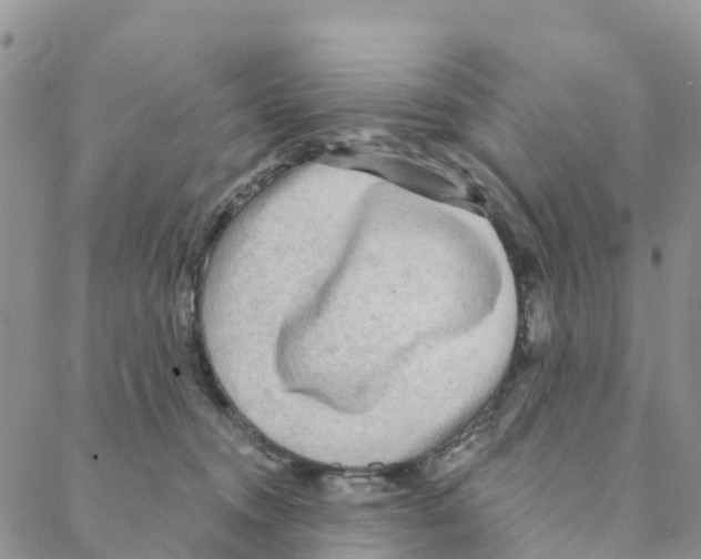 X0000088180372200706121657