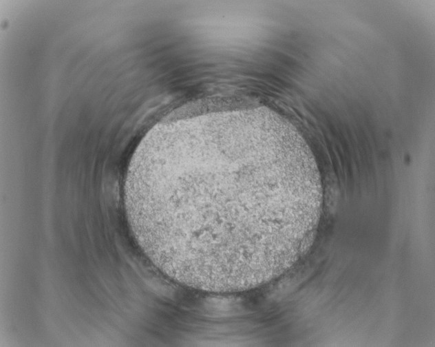 X0000088180375200706121657