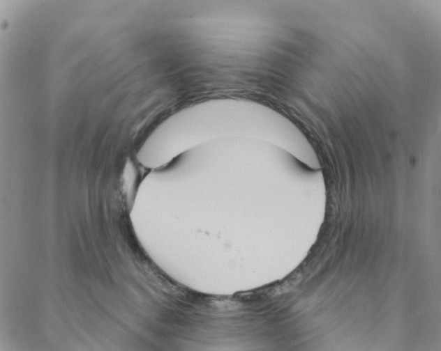 X0000088180376200706121657