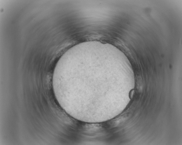 X0000088180378200706121657