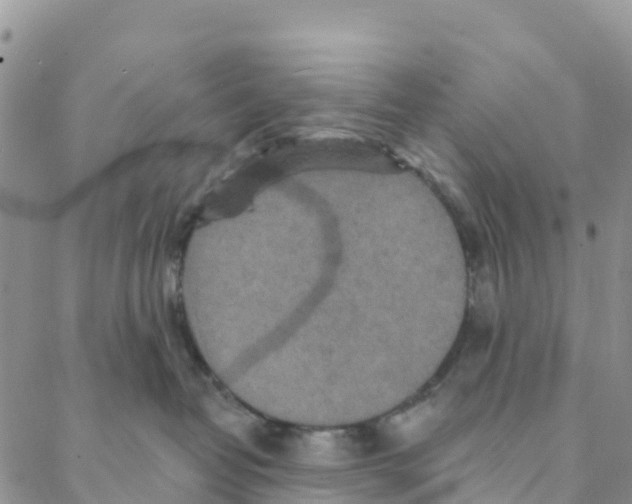 X0000088180382200706121657