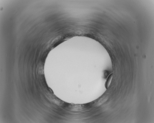 X0000088180384200706121657