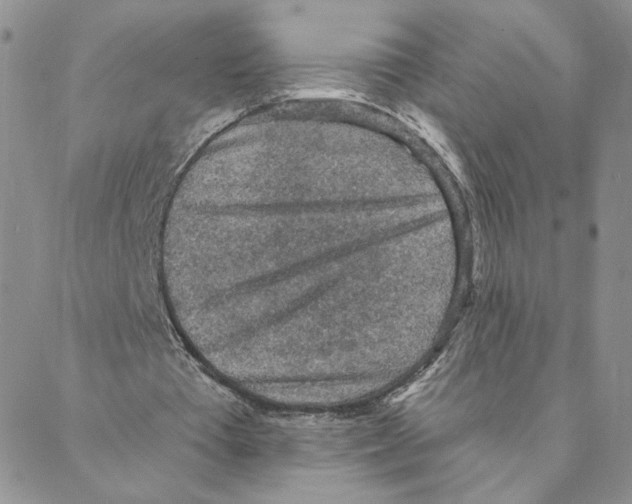 X0000088180385200706121656