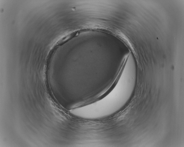 X0000088180387200706121656