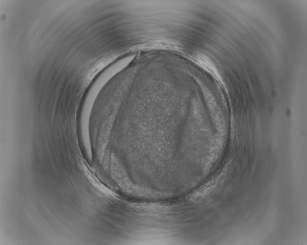 X0000088180389200706121656